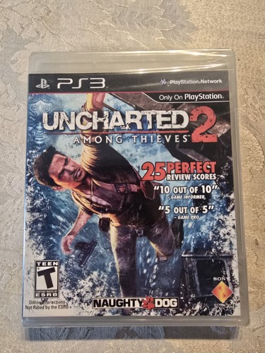 Uncharted among thieves - among,